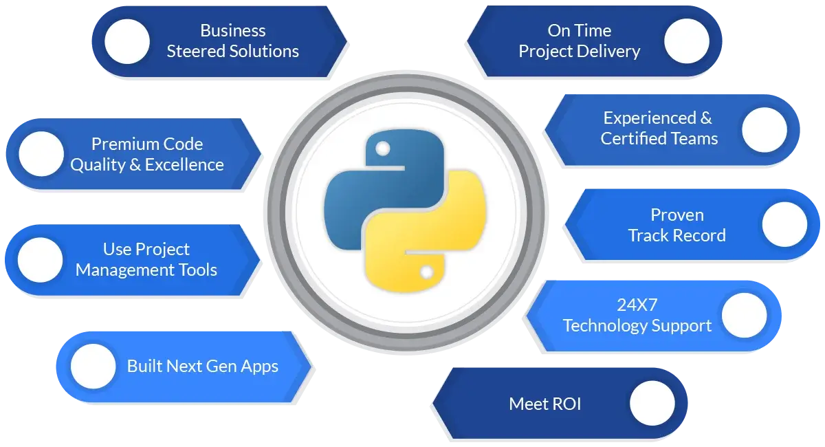 Python development service