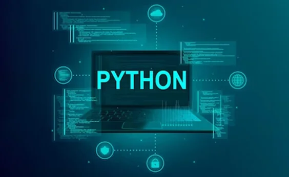 Python development service