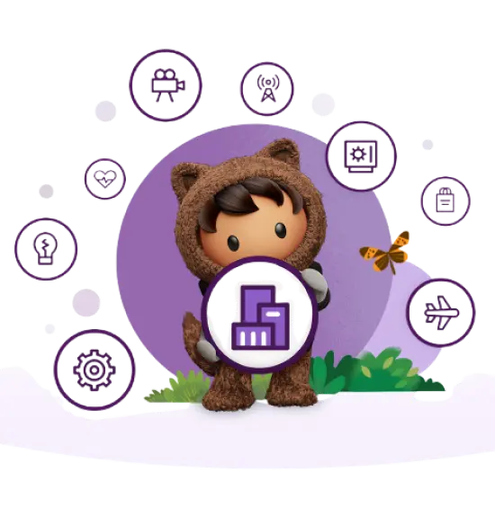 Salesforce Sales Cloud Solutions